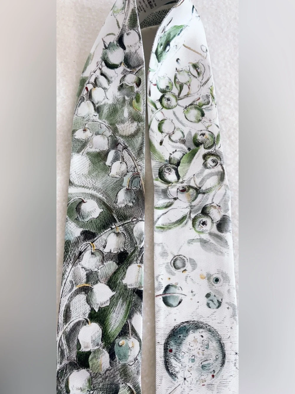 Dior Jardin D’hiver Mitzah Silk Scarf